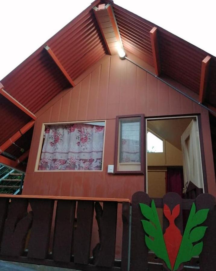 Pension Y Cabinas Colibri B&B Costa Rica Monteverde ภายนอก รูปภาพ