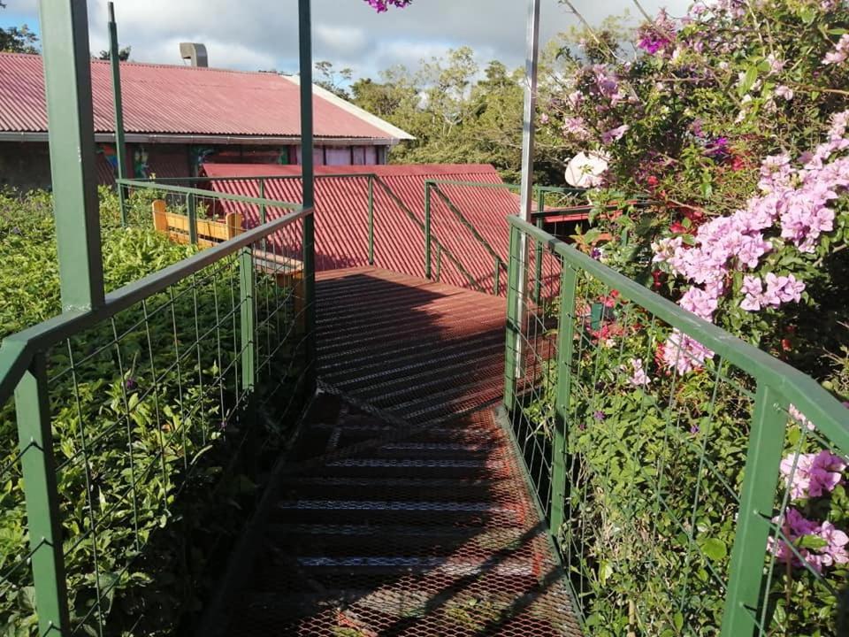 Pension Y Cabinas Colibri B&B Costa Rica Monteverde ภายนอก รูปภาพ