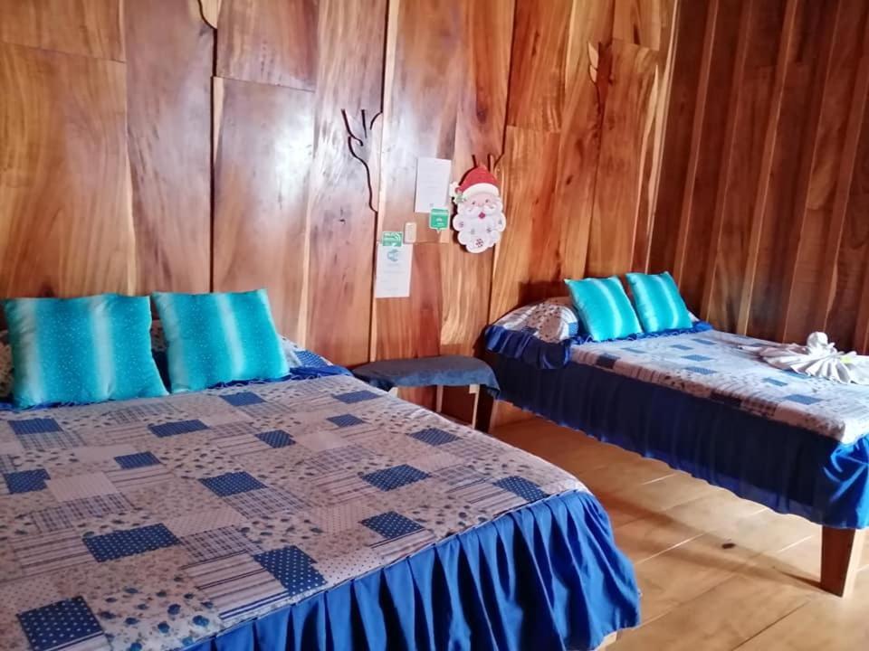 Pension Y Cabinas Colibri B&B Costa Rica Monteverde ภายนอก รูปภาพ